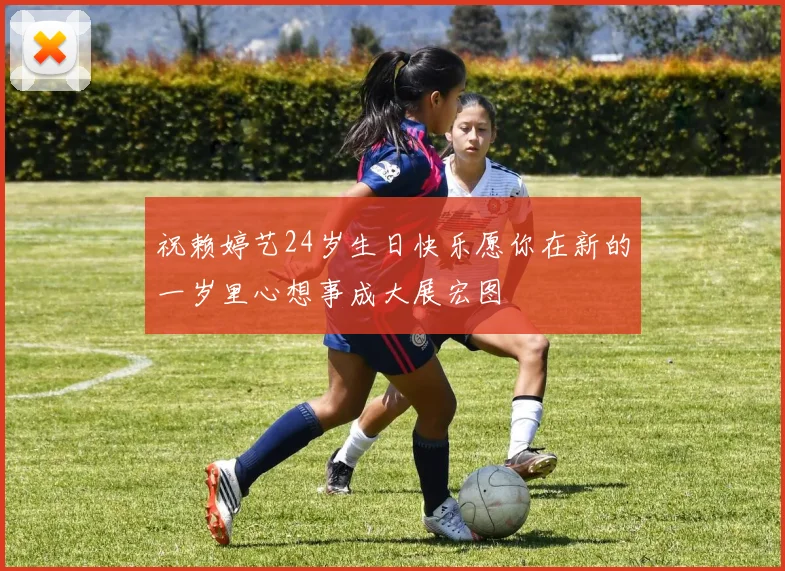 祝赖婷艺24岁生日快乐愿你在新的一岁里心想事成大展宏图