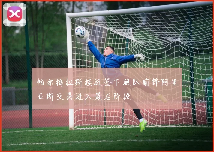帕尔梅拉斯接近签下狼队前锋阿里亚斯交易进入最后阶段